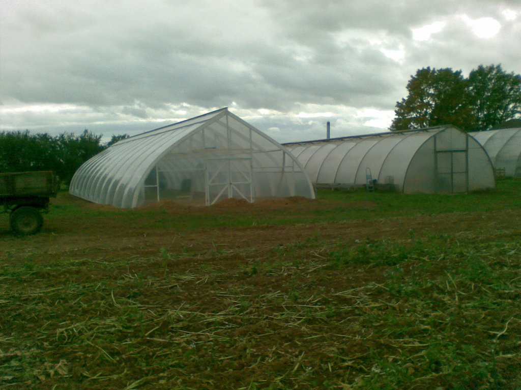  Professional greenhouses