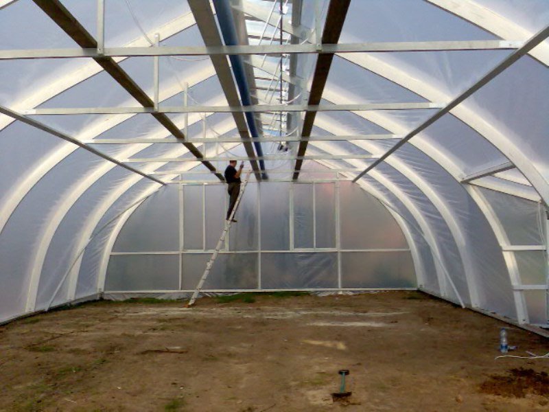  Professional greenhouses